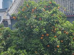 -陈生记黑鱼馆·20年活鱼现杀(宁波鼓楼店)