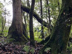 -龙苍沟森林公园