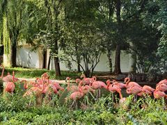 -石家庄市动物园