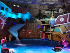 -烟台海昌鲸鲨海洋公园