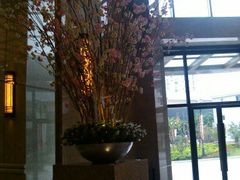 商务楼的装饰花-光启城时尚购物中心