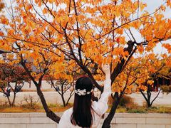 -景福宫