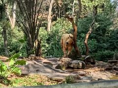 -海南热带野生动植物园