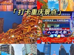 -成都大熊猫繁育研究基地
