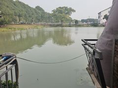 -水岸居湖景农家乐·阳澄湖大闸蟹