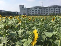 -南京信息职业技术学院