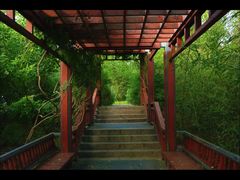 -北坞公园