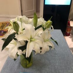 -静博士·养生养颜