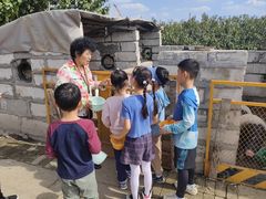 -樂桃源奉贤黄桃种植采摘基地