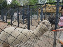 -长白岛森林公园