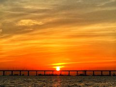 -宝安西湾红树林湿地公园