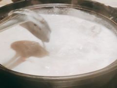 -同仁四季椰子鸡(福田东园总店)
