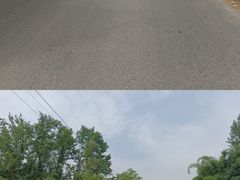 -桤木河湿地公园