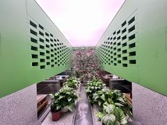 -牛街·马辈儿涮肉(牛街总店)