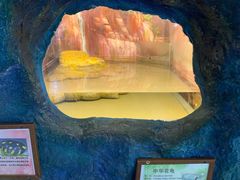 -上海大自然野生昆虫馆(东方明珠·爬宠昆虫探索中心)