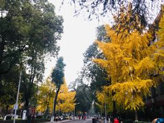 -四川大学(华西校区)