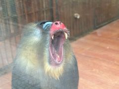 -荆州中山公园动物园