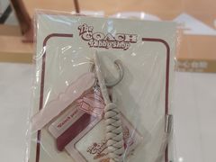 -COACH蔻驰(华润万象城店)