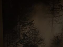 -耳湾躺式采耳SPA馆(保利五月花店)