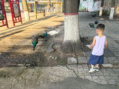 -保定市动物园