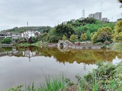 -张坝桂圆林公园