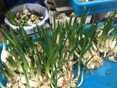 -无锡文化工艺品市场(槐古路店)
