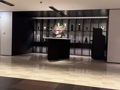 -新加坡乌节希尔顿酒店 (SG Clean)