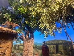 -国家自然博物馆