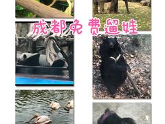 -成都动物园