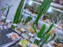 -OUR Bakery(SKP-S店)