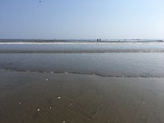 -大鹿岛