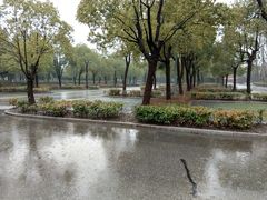 -金匮公园-南入口停车场