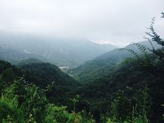 -天源渔港农庄