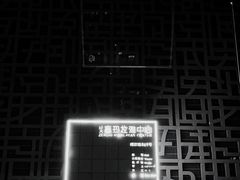 -证大喜玛拉雅中心