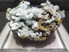 -湖南省地质博物馆