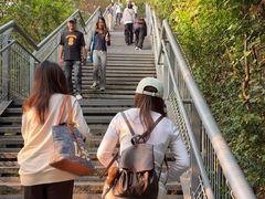 -佛山华盖山公园