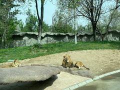 -北京野生动物园