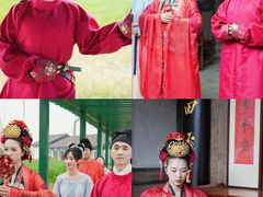 -杭州湾海上花田景区