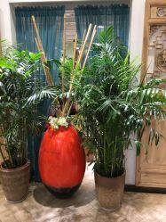 -渼树MSUTREE连锁沙龙