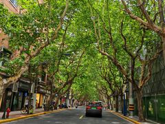 -上海蔡元培故居陈列馆