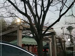 -食家鸽园