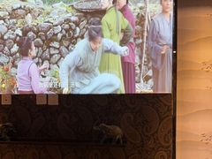 -小隐足道·按摩·主题SPA馆(西红门店)