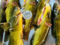 -荣德灶台鱼(圣泉寺店)