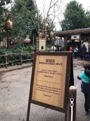 -翱翔飞越地平线