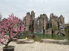 -秀丽东方