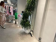 -白噪音White Noise·798概念店