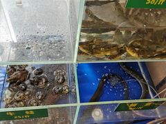 -笨笨甲甲鱼坊(蓝堡湾店)