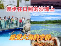 -渡海小渔村.老辈日照菜