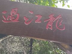 -亚龙湾热带天堂森林公园