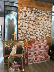 -菲林婚纱摄影工作室